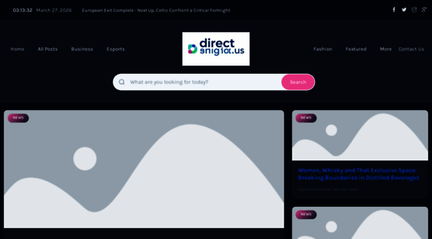 directinsight.us