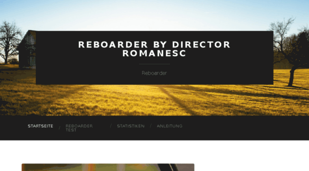 director-romanesc.com
