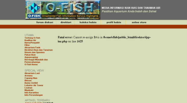 direktori.o-fish.com