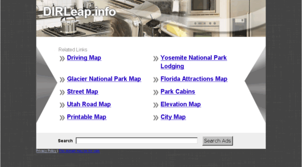 dirleap.info