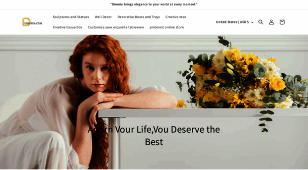 dironia.com