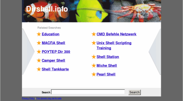 dirshell.info