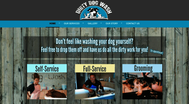 dirtydogwash.com