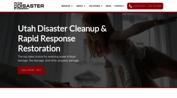 disastercompany.com