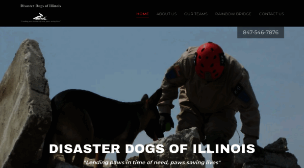 disasterdogsofillinois.com