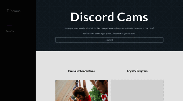 discams.com