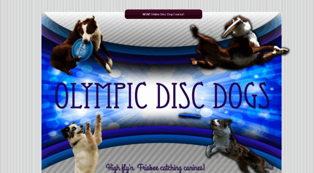 discdoggin.com