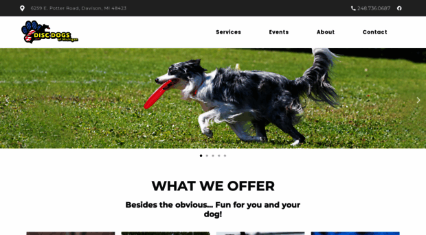 discdogsofmi.com