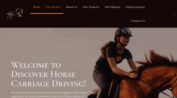 discover-horse-carriage-driving.com