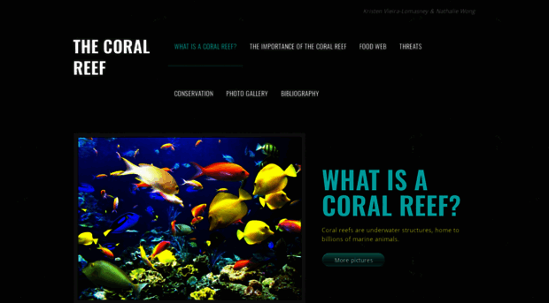 discoverthecoralreef.weebly.com