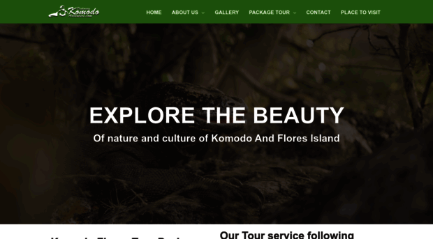 discoverykomodoadventure.com