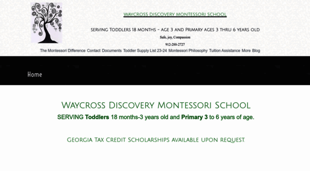 discoverymontessorischool.us