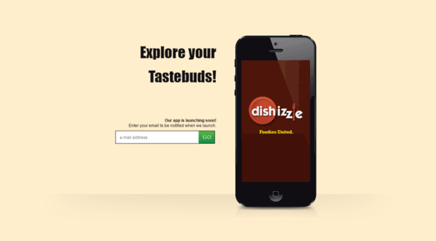 dishizzle.com