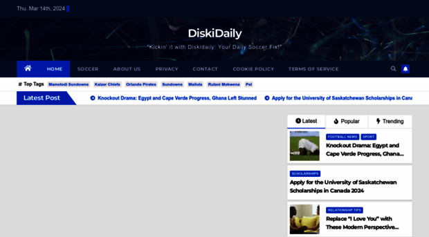 diskidaily.co.za