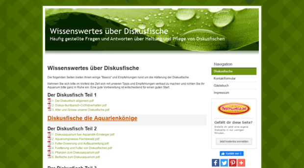 diskusfische-online.beepworld.de