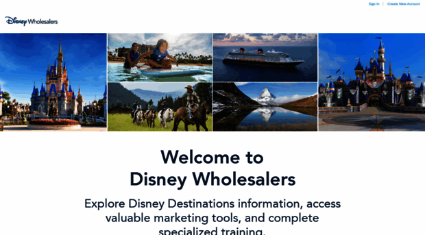 disneywholesalers.com