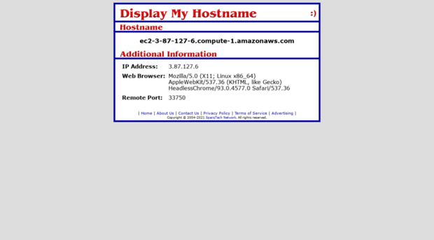 displaymyhostname.com