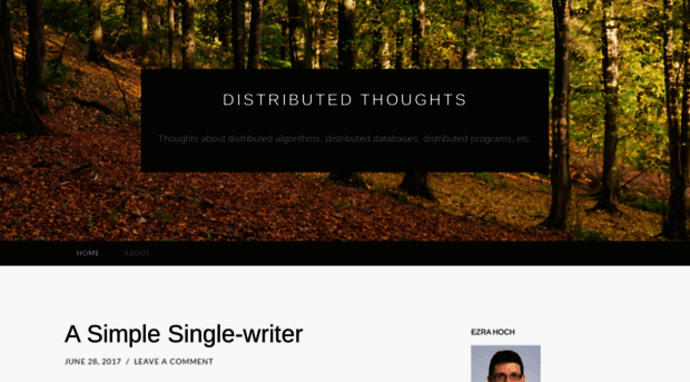 distributedthoughts.com