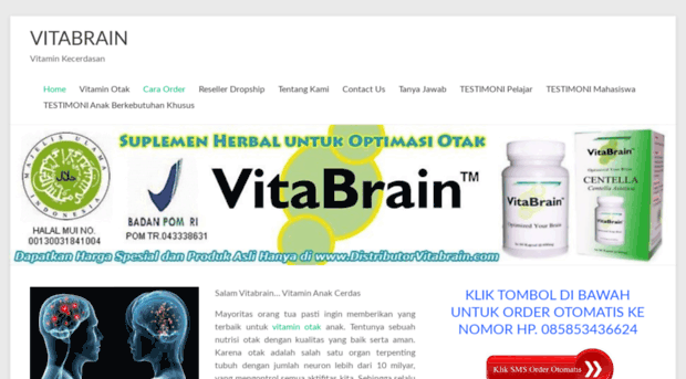 distributorvitabrain.com