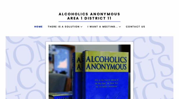 district11aa.com