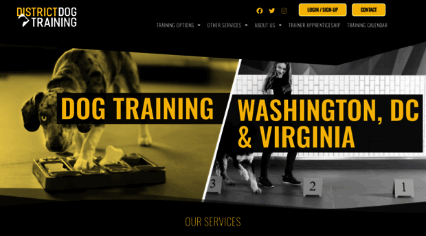 districtdogtraining.com