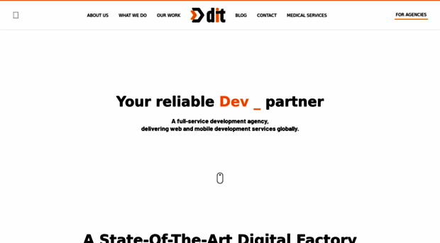 ditindia.com