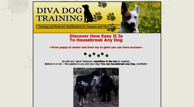 divadogtraining.com