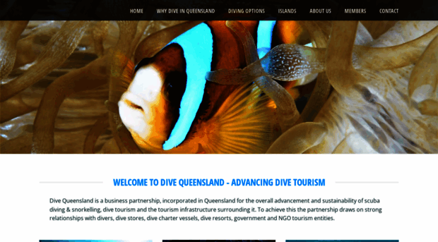 dive-queensland.com.au