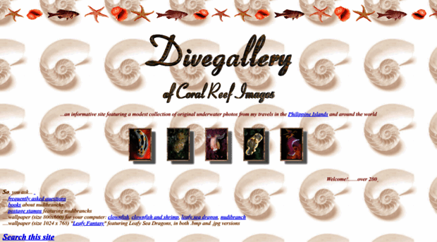 divegallery.com