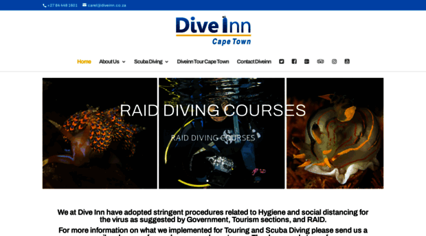diveinn.co.za