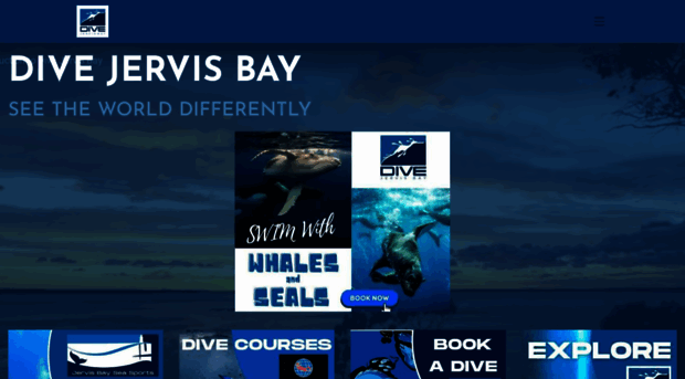 divejervisbay.com