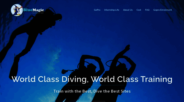 divemasterinternship.org