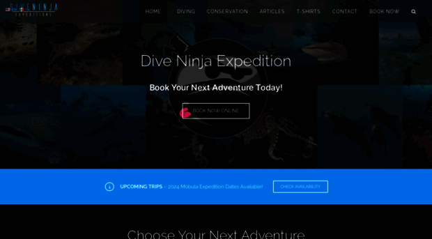 diveninjaexpeditions.com