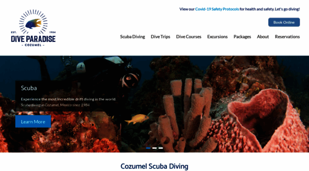 diveparadise.com