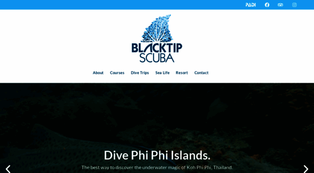 divephiphiisland.com