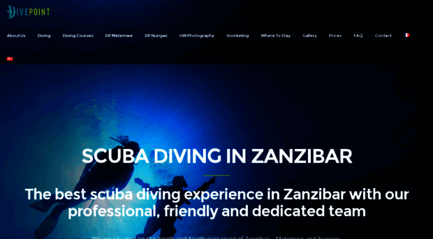 divepointzanzibar.com