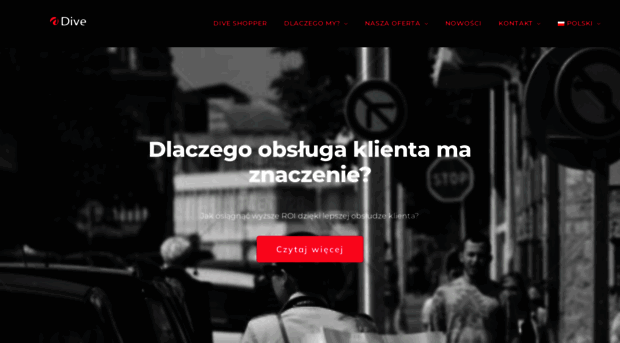 divepolska.com