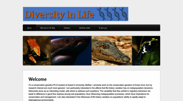 diversityinlife.weebly.com