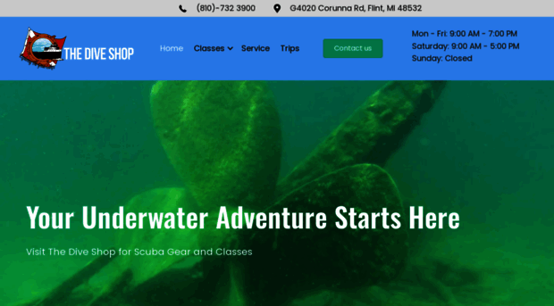 diveshopmi.com