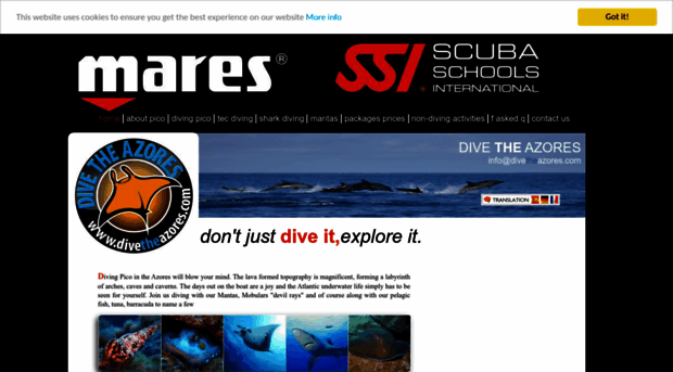 divetheazores.com