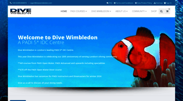 divewimbledon.com