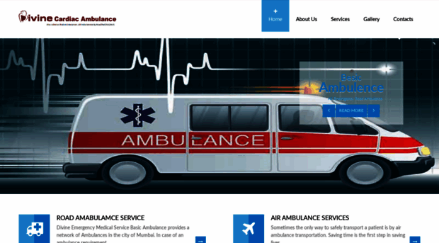 divineambulances.com