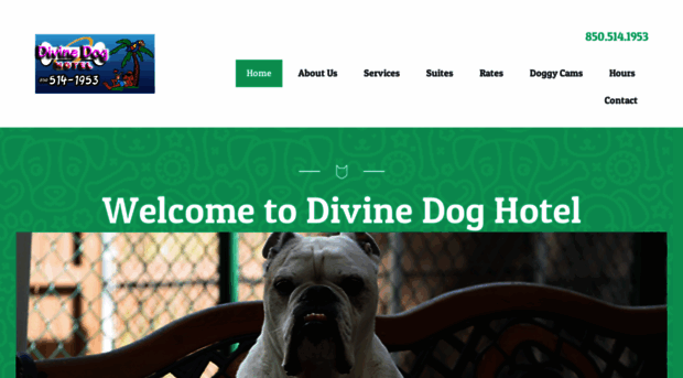 divinedoghotel.com