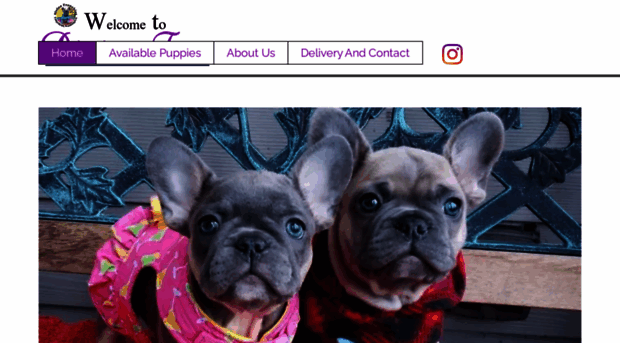 divinefrenchies.com