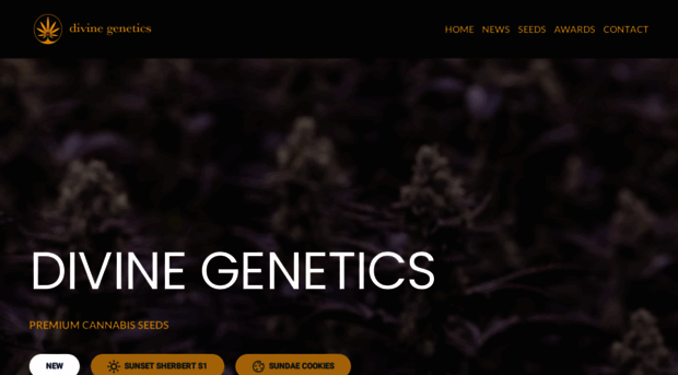 divinegenetics.com