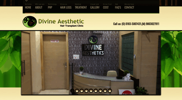 divinehairtransplantasr.com
