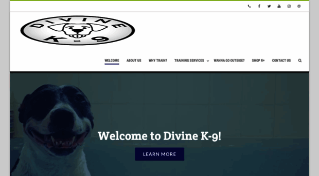 divinek-9.com