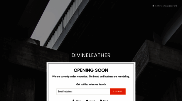 divineleather.com