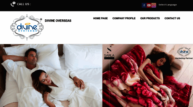 divineoverseasindia.com