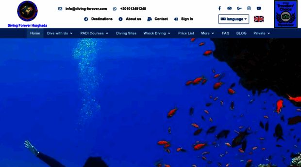 diving-forever.com